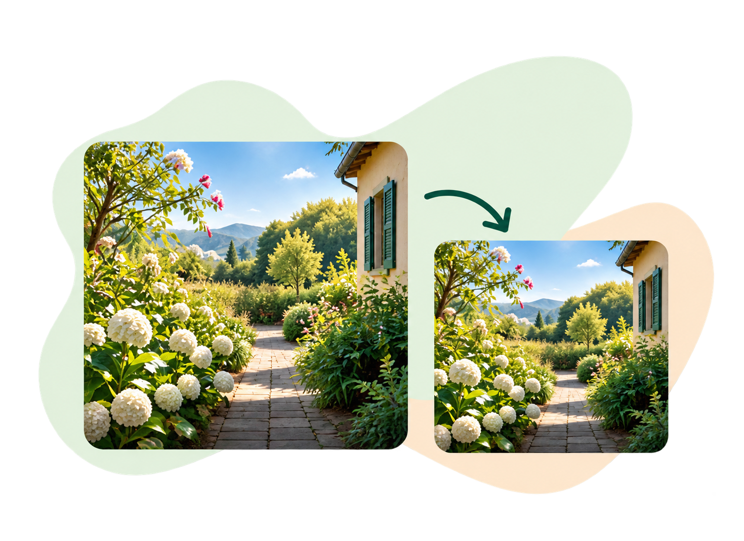 Um jardim ensolarado em duas molduras, com formas orgânicas verdes e uma seta entre elas.